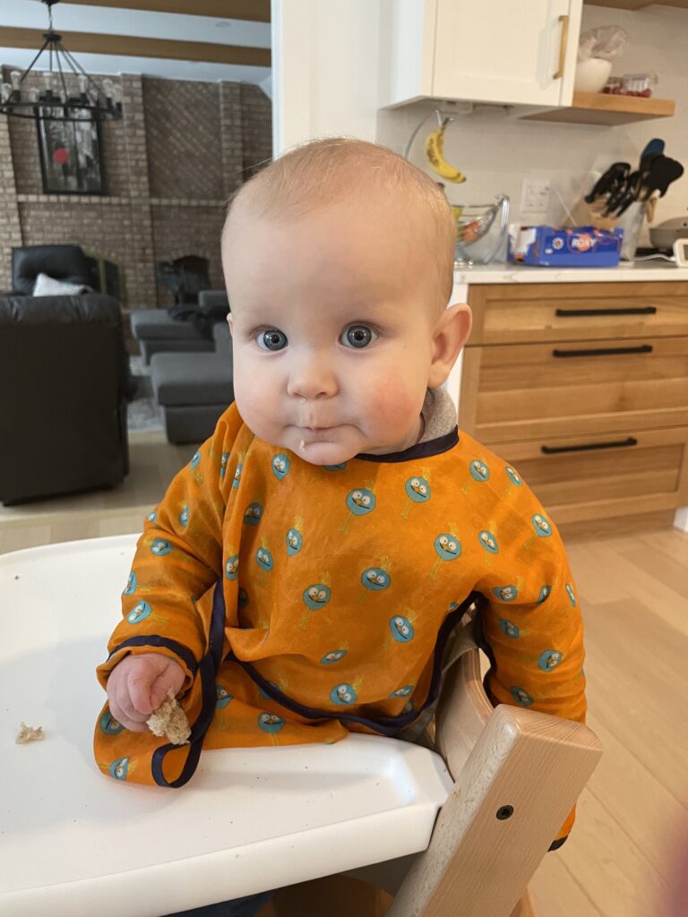 Best Foods for Baby Led Weaning