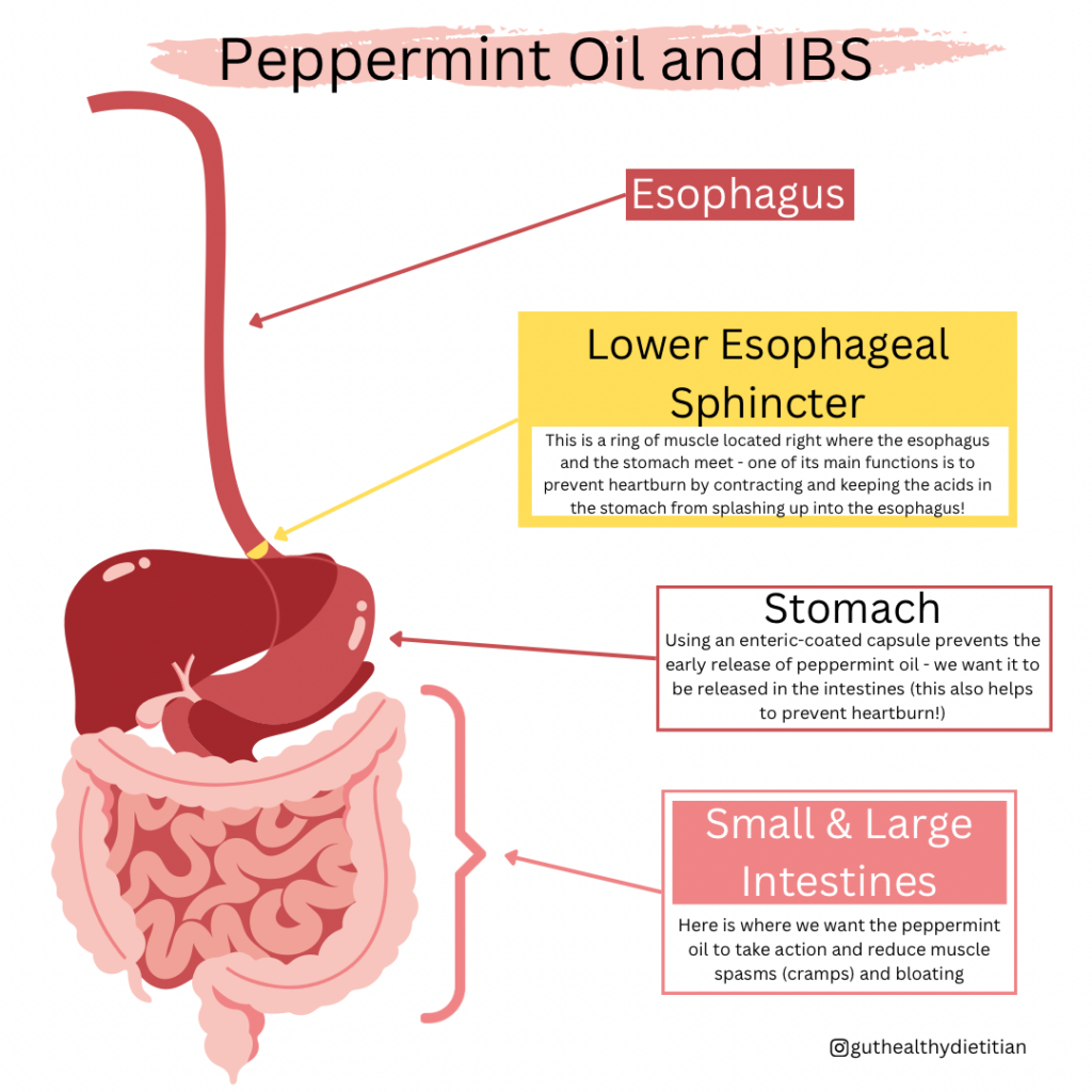How to use peppermint oil for IBS