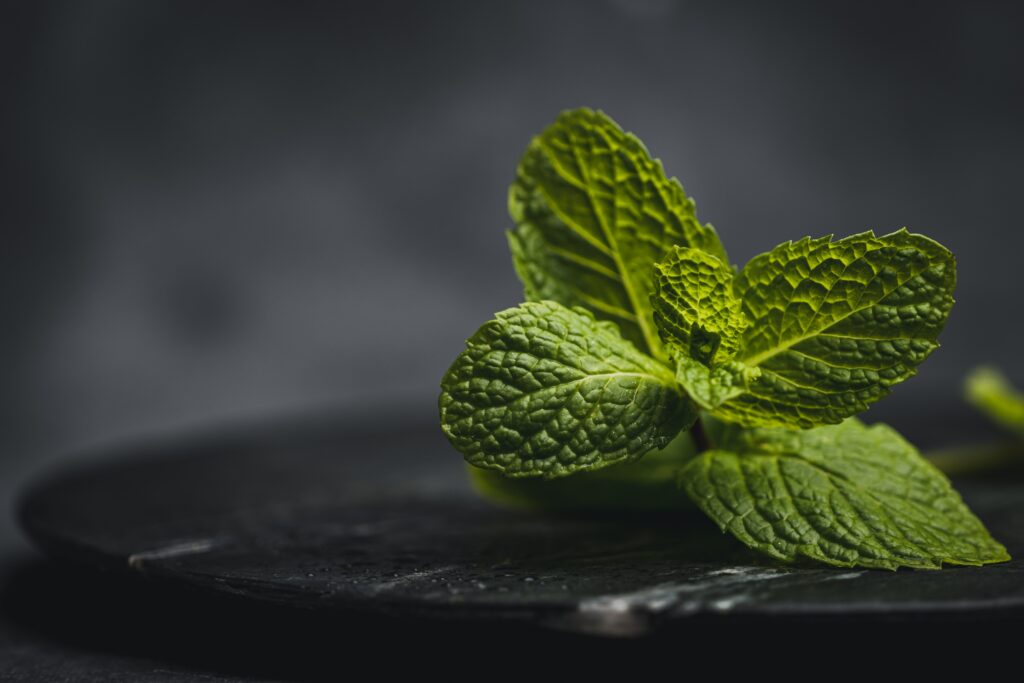 How to use peppermint oil for IBS